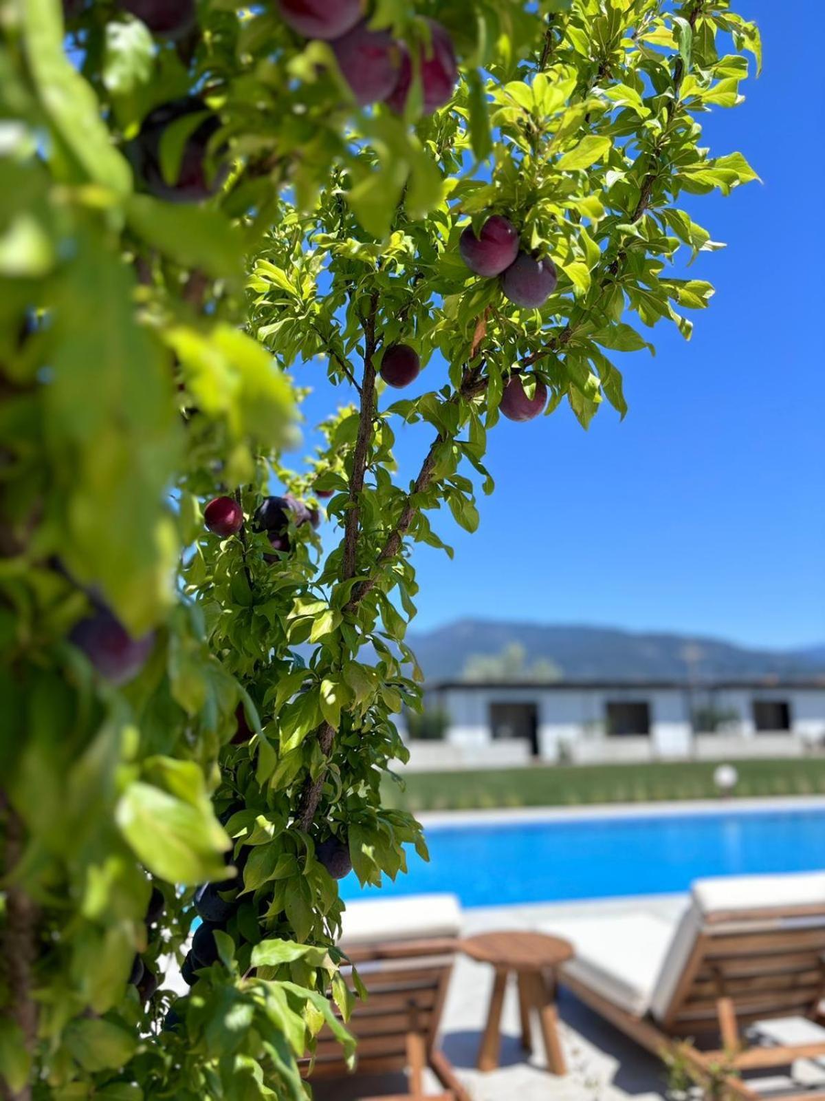 Casa Mora Aparthotel Αδραμύττιο Εξωτερικό φωτογραφία