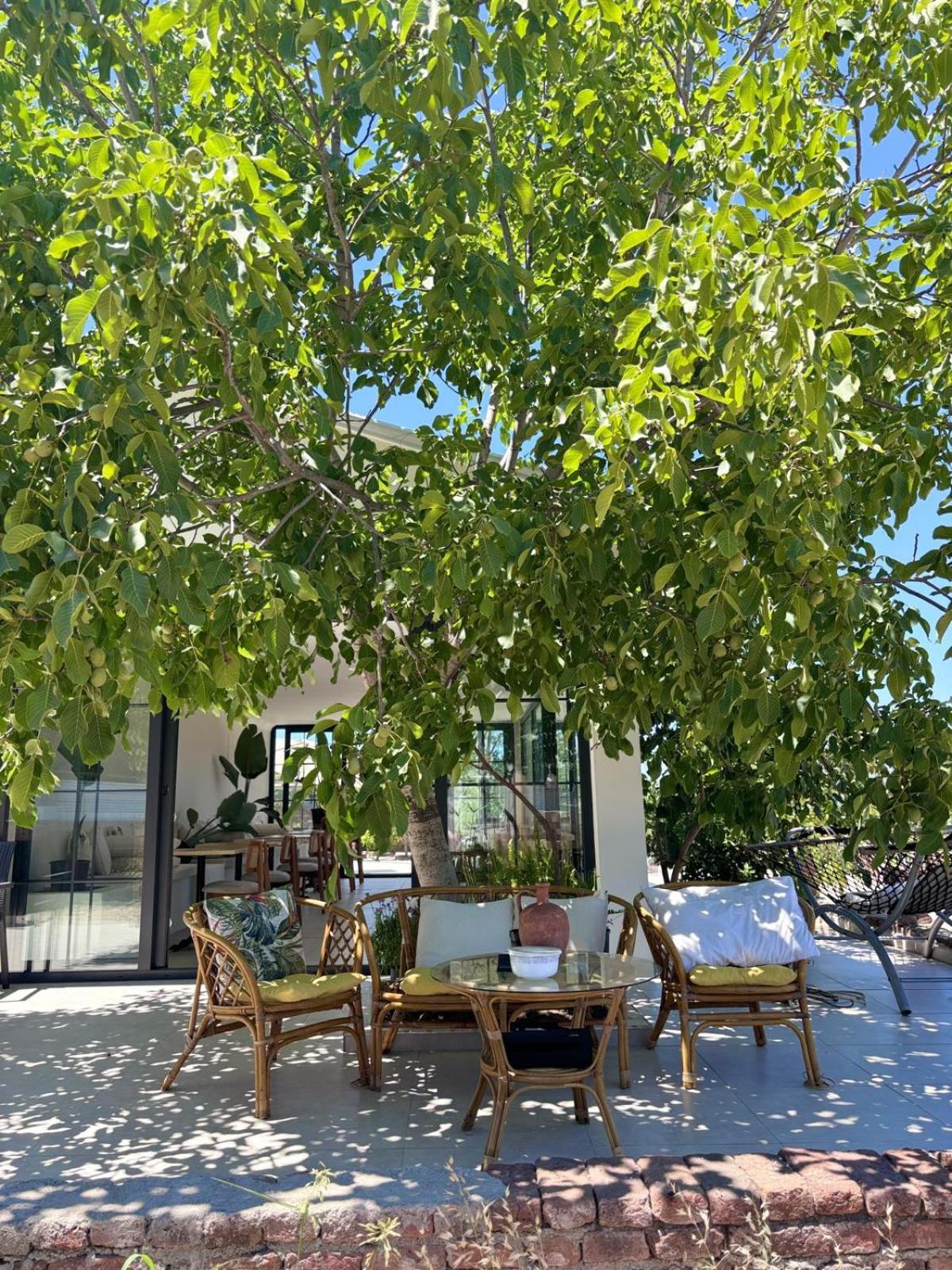 Casa Mora Aparthotel Αδραμύττιο Εξωτερικό φωτογραφία